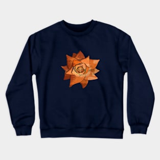 Succulent Cactus Plant Crewneck Sweatshirt